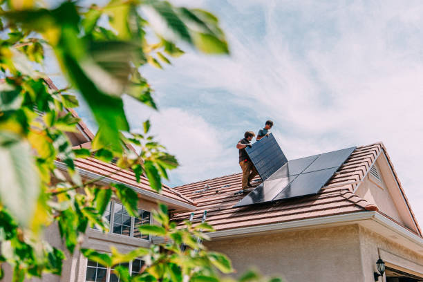 Best Roof Gutter Cleaning  in Pikeville, TN
