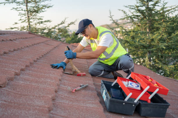 Best Metal Roofing Contractor  in Pikeville, TN