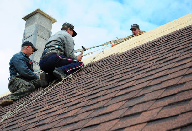 Best Emergency Roof Repair  in Pikeville, TN